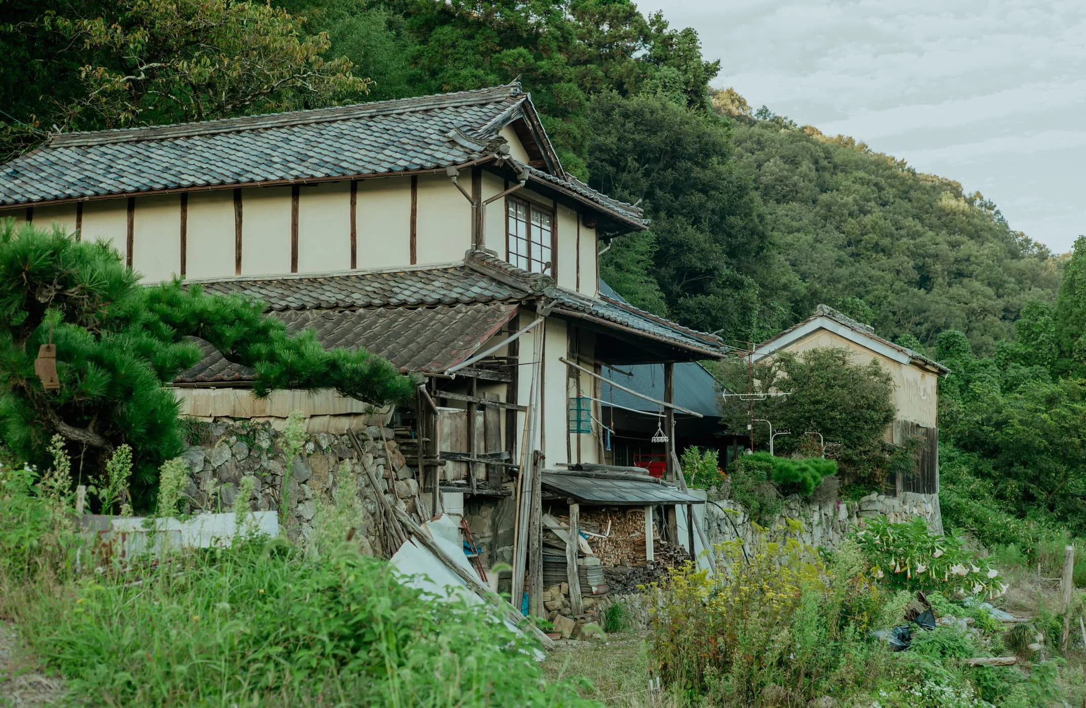 日本住房政策与房地产投资的旅游洞察